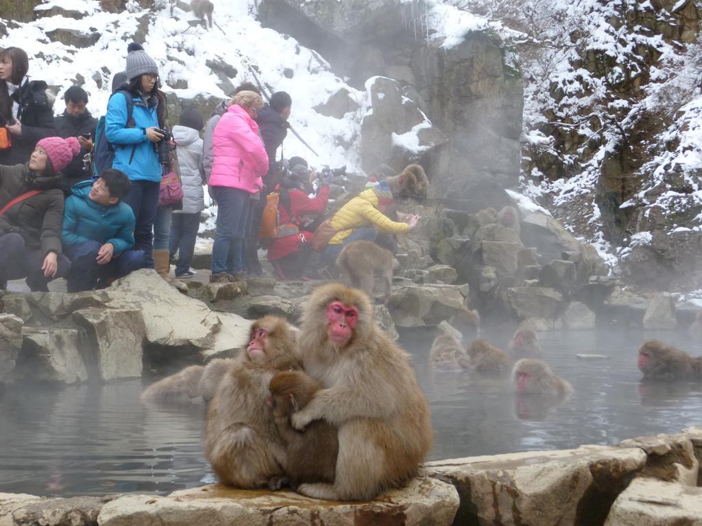Akakura Yours Inn Myoko Exteriér fotografie